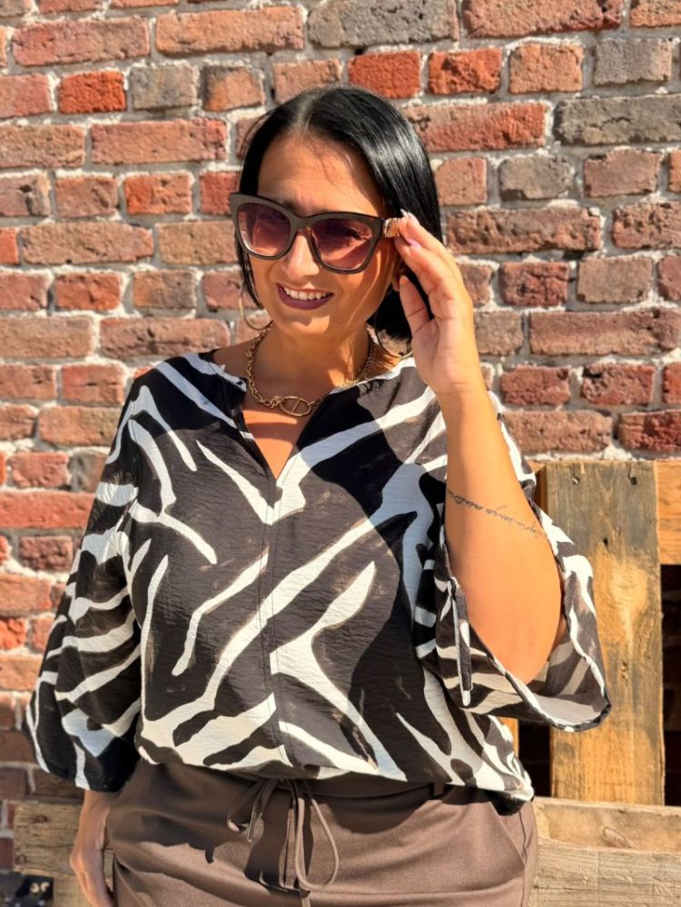  Zebra